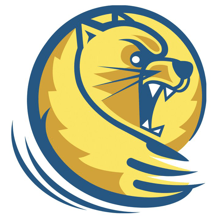 Lander University logo
