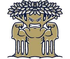 New College of Florida logo