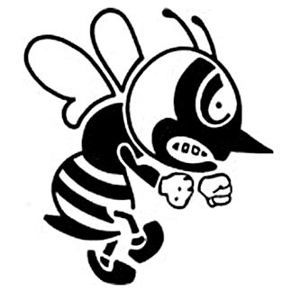 Saint Ambrose University logo