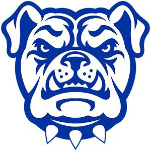 Tennessee Wesleyan University logo