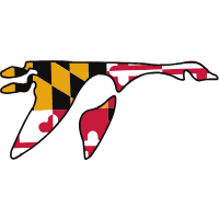 Washington College logo