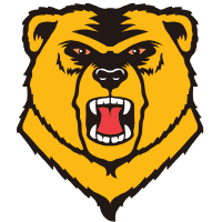 Western New England University logo