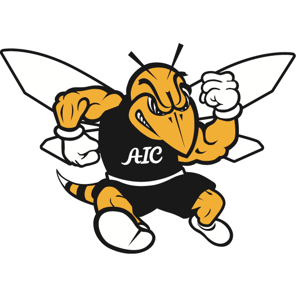 American International logo