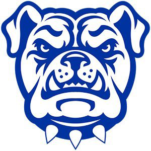 Tennessee Wesleyan logo